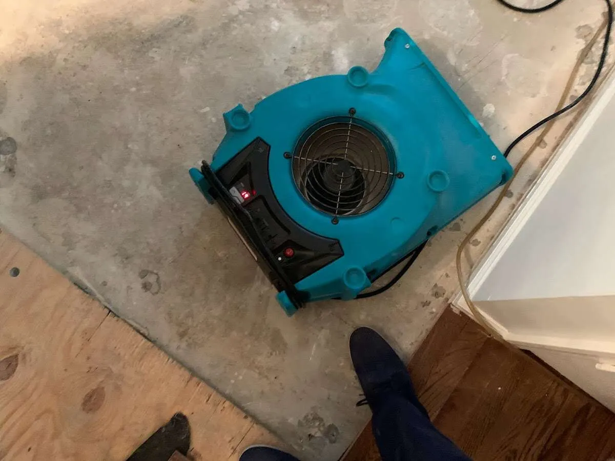 Air mover drying subfloor during Commercial Water Damage Restoration in Seymour